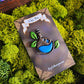 Adventure Potion Handmade Clay Pins