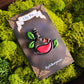 Adventure Potion Handmade Clay Pins